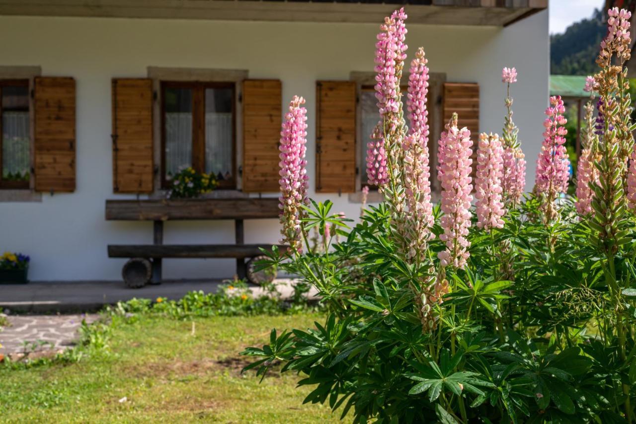 La Gerla Casa Vacanze Dolomiti Hotel Perarolo di Cadore Eksteriør billede